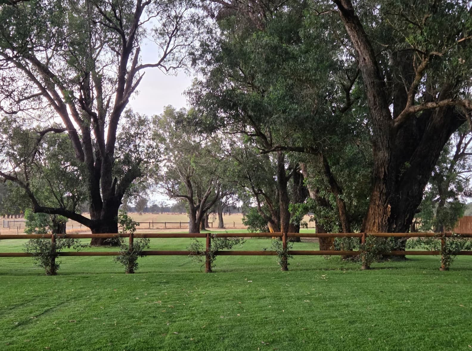 Lilac Lawns venue